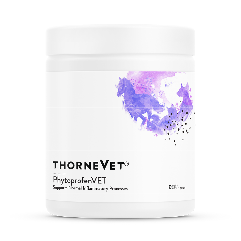 Thorne Vet PhytoprofenVET for Cats, Dogs, Horses (post-surgery healing)