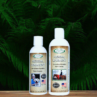 Mad About Organics Liniment, 2 Sizes