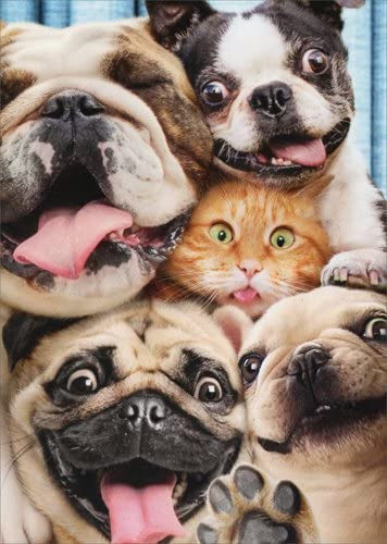 Woof and Meow Pet Supply Store Gift Card