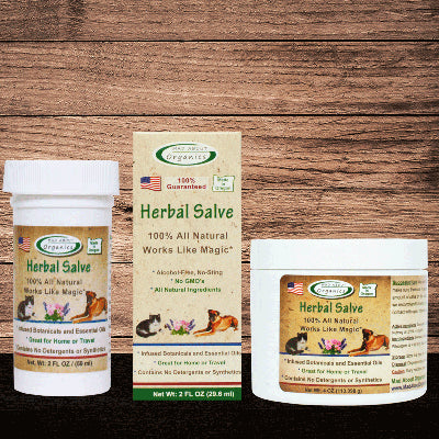 Mad About Organics Organic Herbal Salve, 2 sizes