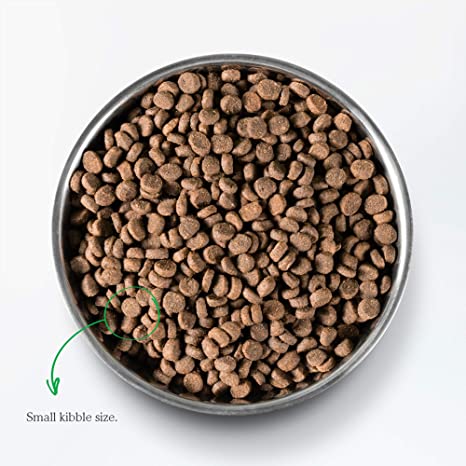 Open Farm Wild Caught Salmon Grain Free