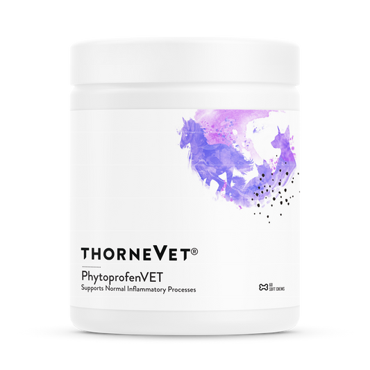 Thorne Vet PhytoprofenVET for Cats, Dogs, Horses (post-surgery healing)
