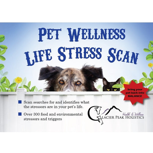 Glacier Peak Holistics Pet Wellness Life Stress Scan
